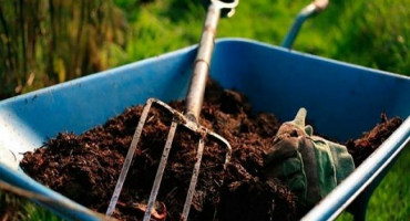 Jak vařit mullein vlastníma rukama a pokyny pro použití hnojiva